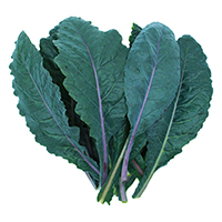 Massaged kale salad